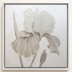 Beige Iris Flower Canvas 1B - Framed