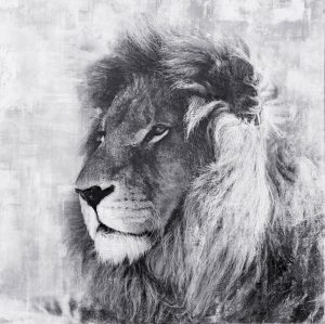 Oil On Canvas Lion 1000X1000mm