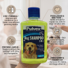 Pulvex 2-1 Shampoo