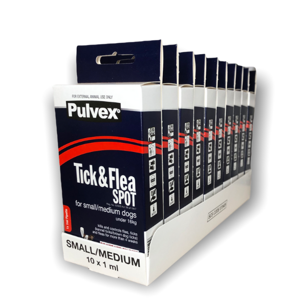 box or case display (17)