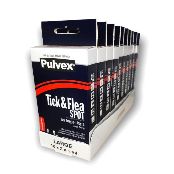 box or case display (18)