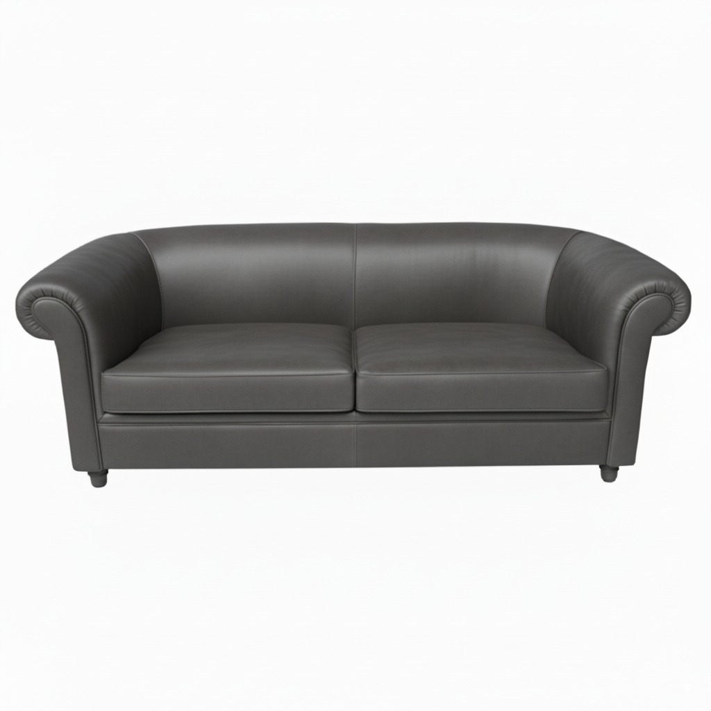 Libelle Leather Couch